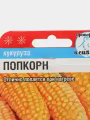 Семена Кукуруза среднеранний высокоурожайный сорт "Попкорн", 10 штук