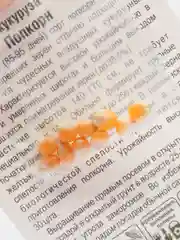 Семена Кукуруза среднеранний высокоурожайный сорт "Попкорн", 10 штук
