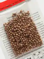 Семена Кориандр среднеранний сорт "Марокканский"