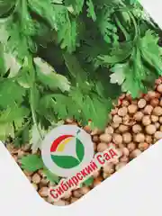 Семена Кориандр среднеранний сорт "Марокканский"