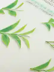 Зеленый тканевая маска для лица с природными экстрактами