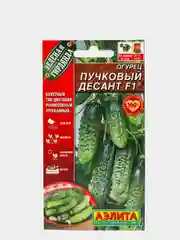 Семена огурцов "Пучковый Десант F1" раннеспелые, самоопыляемые, пучковые для теплиц