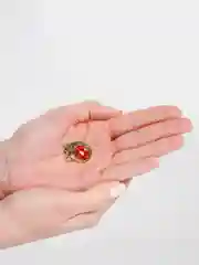 Красный брошь "Тигр"