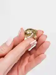 Красный брошь "Тигр"
