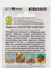 Семена кабачков кустовых раннеспелых "Золотой ключик", цуккини