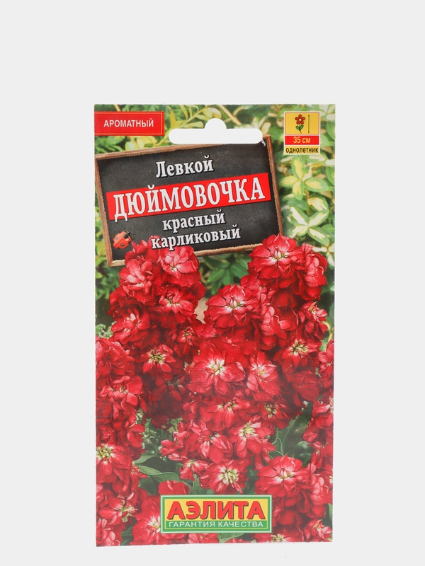 Левкой "Дюймовочка" красный карликовый (семена,цветы)