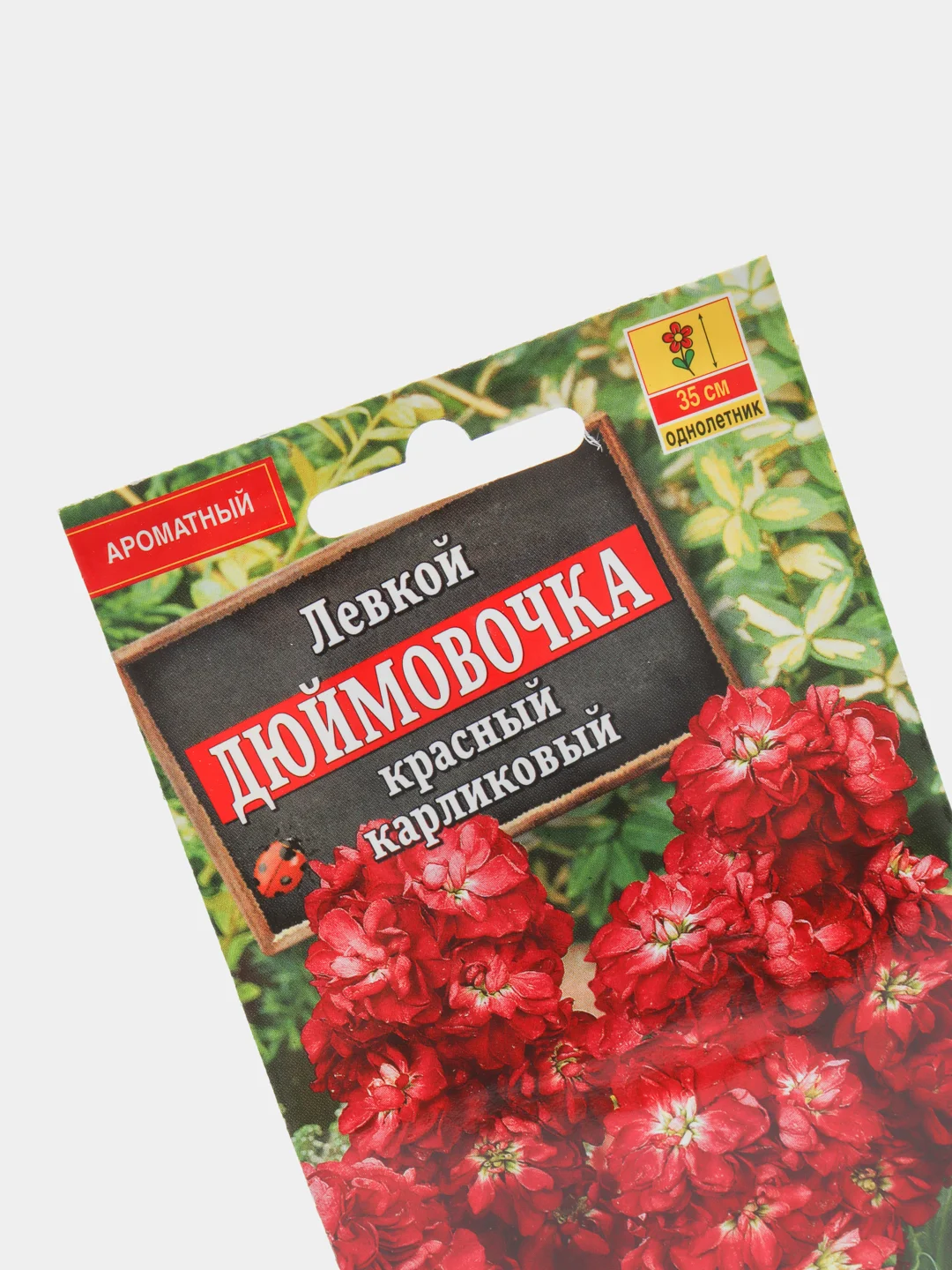 Левкой "Дюймовочка" красный карликовый (семена,цветы)