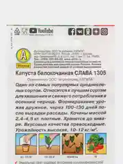 Зеленый семена Капуста белокочанная "Слава 1305" для квашения и свежего потребления