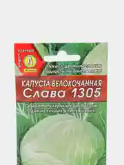 Зеленый семена Капуста белокочанная "Слава 1305" для квашения и свежего потребления