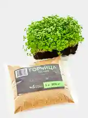 Семена горчицы белой 1 кг, медонос, сидерат, "Просто семена"