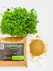 Семена горчицы белой 1 кг, медонос, сидерат, "Просто семена"