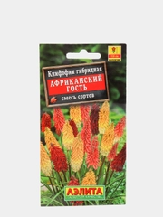 Семена Книфофия "Африканский гость" набор 1, 3, 5 уп