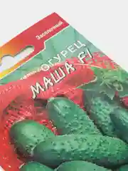 Огурец Маша, семена