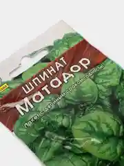 Белый семена шпинат "Матадор"