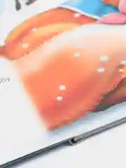 Книга лисичка сестричка и волк