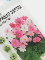 Семена цветов Космея, однолетник, смесь окрасок