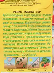 Редис Ризенбуттер, крупноплодный
