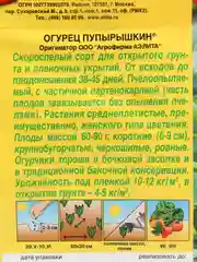 Семена огурцов "Пупырышкин" скороспелый для открытого грунта и теплиц