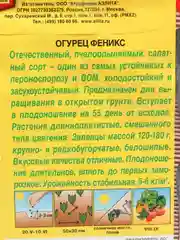 Семена огурец "Феникс" пчелоопыляемый