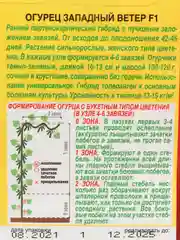Семена огурцов Западный ветер для теплиц, самоопыляемые, пучковые