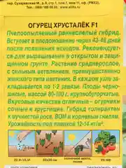 Семена огурец Хрусталек F1, раннеспелые, для открытого грунта и теплиц