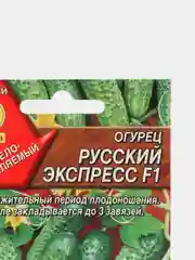 Семена огурцов "Русский Экспресс F1" пучковые для открытого грунта и теплиц