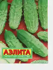 Семена огурец "Конкурент" для открытого грунта пчелоопыляемый