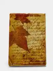 Золотистый хаки обложка на паспорт