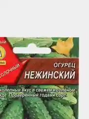 Семена огурец "Нежинский"