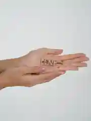 Коричневый заколка для волос