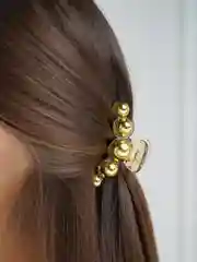 Заколка