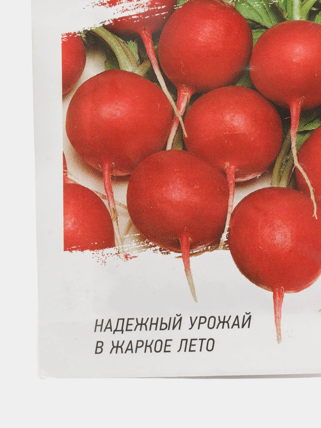 Редис Жара