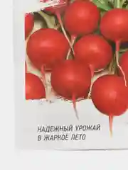 Редис Жара