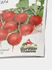 Редис Жара