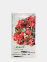 Семена Бегония Викинг коралловая на бронзовом