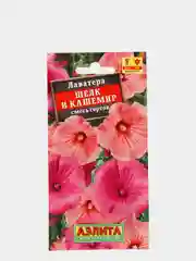 Семена Лаватера "Шелк и кашемир"
