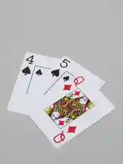 Белый карты Poker  пластиковые для покера 54 шт и набор из 2-х! Покерные карты, Игральные карты