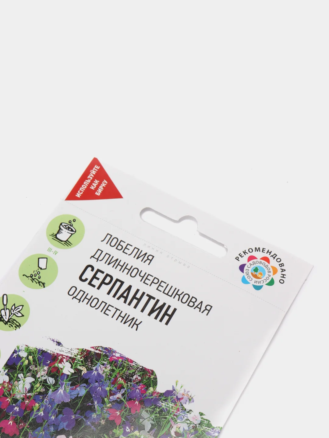 Лобелия "Серпантин", семена, цветы