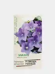 Семена Платикодон "Звезда голубая"
