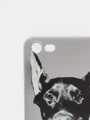 Серый силиконовый чехол на Apple iPhone 7/8/SE 2020/SE 2022 / Айфон 7/8 прозрачный, с рисунком