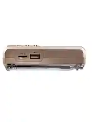 Золотой perfeo мини-аудио Sound Ranger, УКВ+FM, MP3 (USB/TF), USB-audio, BL-5C 1000mAh