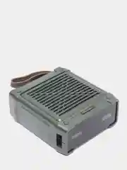 Зеленый мобильный аккумулятор (PowerBank) REMAX Amory Series RPP-79 10000 mAh