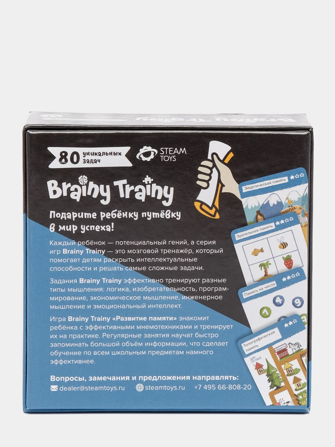 Настольная игра - головоломка "Развитие памяти" Brainy Trainy