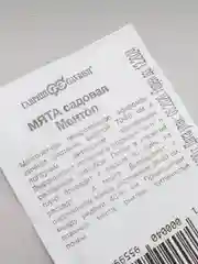 Семена Мята "Ментол" набор 1, 5, 10 уп