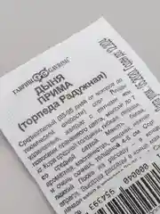 Семена Дыня "Прима" (торпеда радужная) набор 1, 5, 10 уп