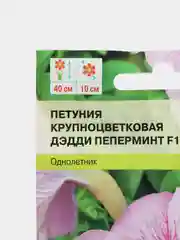 Петуния ДЭДДИ Пеперминт F1 10шт / Семена цветов
