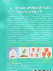 Петуния ДЭДДИ Пеперминт F1 10шт / Семена цветов