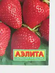 Семена Земляника "Грандиан F1"