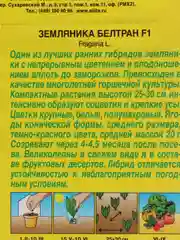 Семена Земляника "Белтран F1"