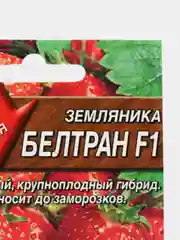 Семена Земляника "Белтран F1"